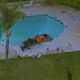 Illustration for article titled Two Dead After C8 Corvette Carrying Three People Crashes Into Pool At 150 MPH